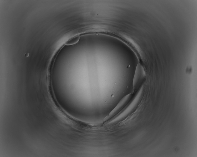 X0000091661467200708231254