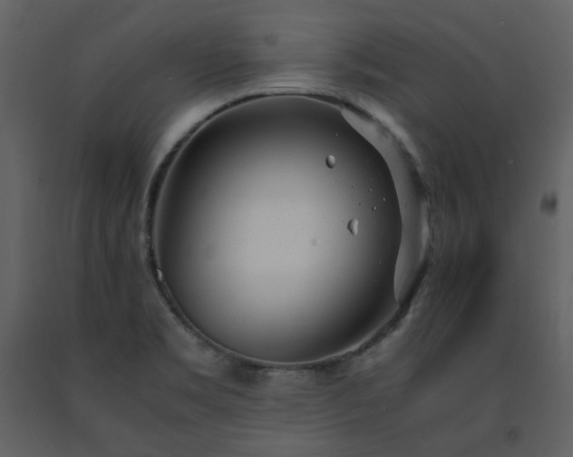 X0000091661469200708231254