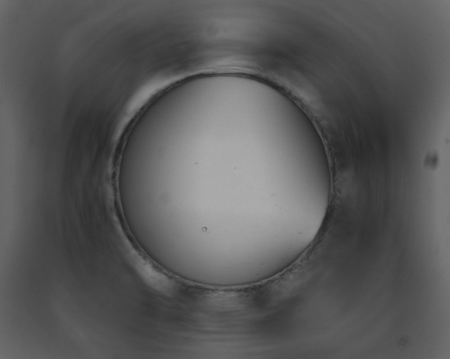 X0000091661470200708231254