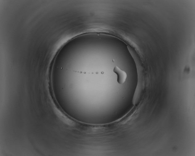 X0000091661471200708231254