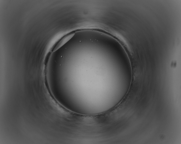 X0000091661472200708231254