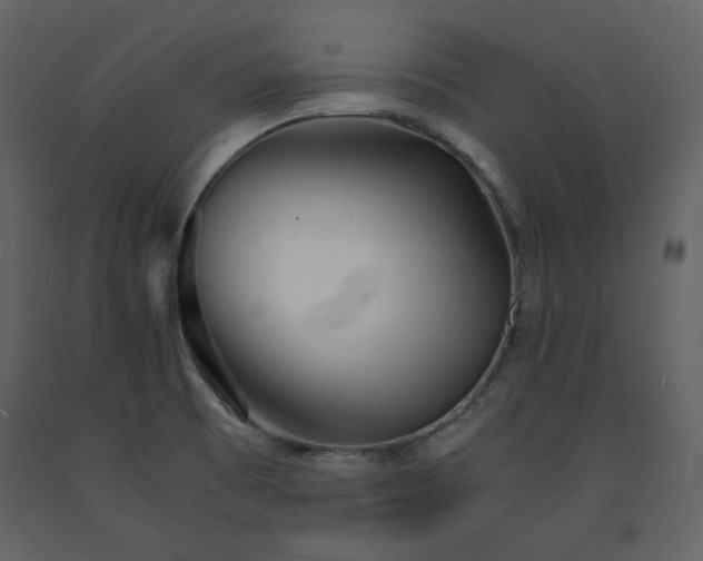 X0000091661473200708231254
