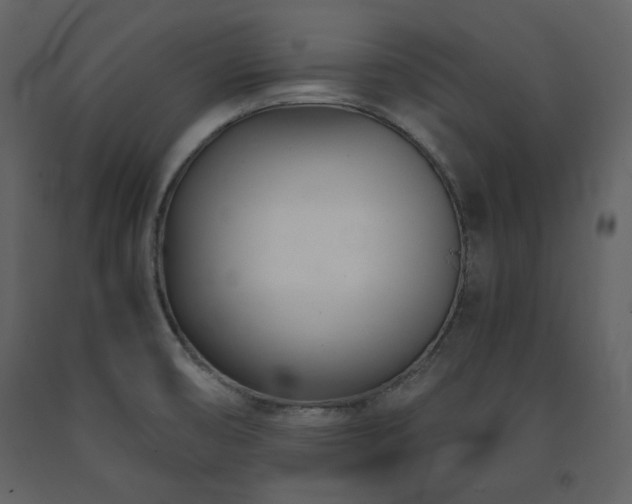 X0000091661474200708231254
