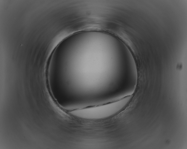 X0000091661475200708231254