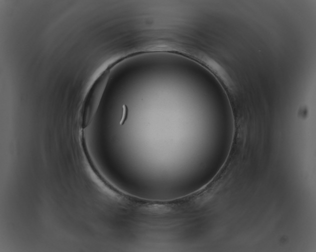 X0000091661476200708231254
