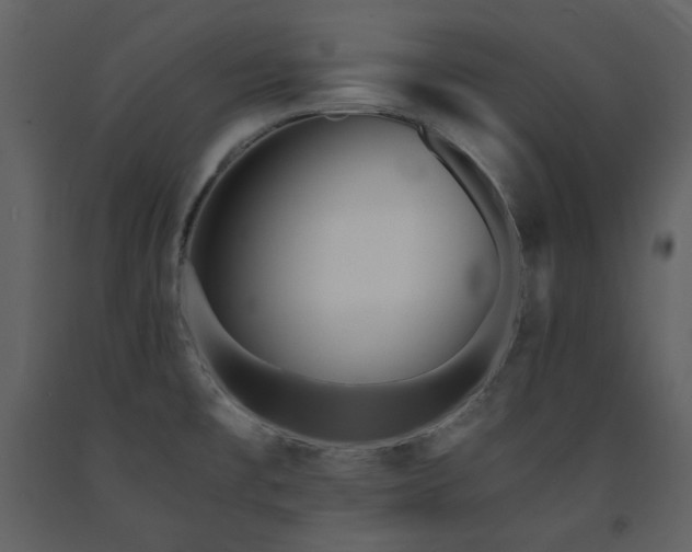 X0000091661477200708231254