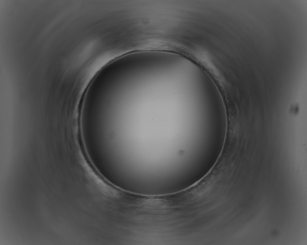 X0000091661479200708231254