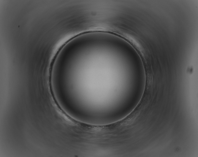 X0000091661480200708231254