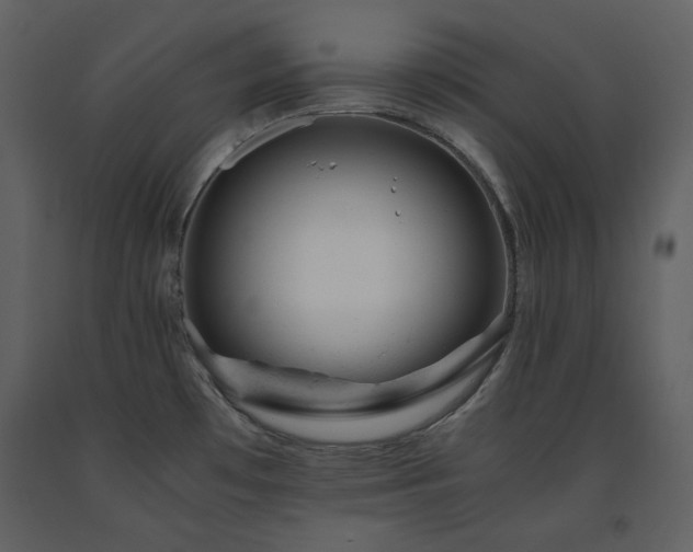X0000091661481200708231254