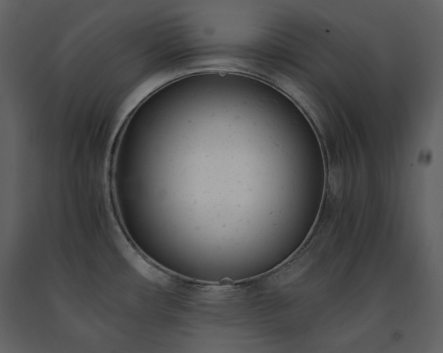 X0000091661482200708231254