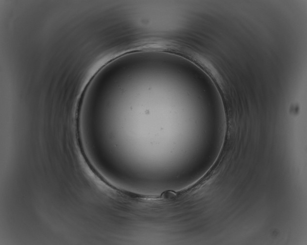X0000091661483200708231254