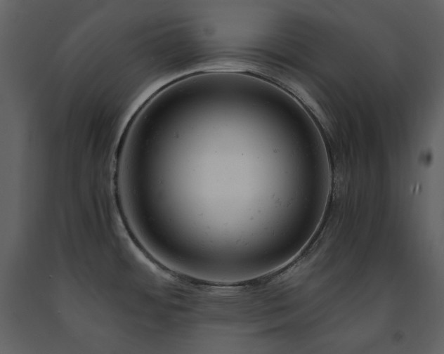 X0000091661484200708231254