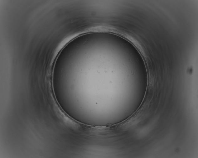 X0000091661486200708231253