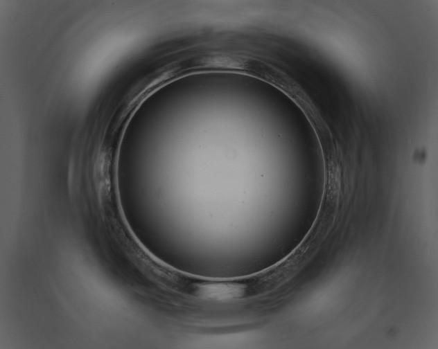 X0000091661487200708231253