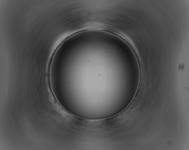 X0000091661488200708231253