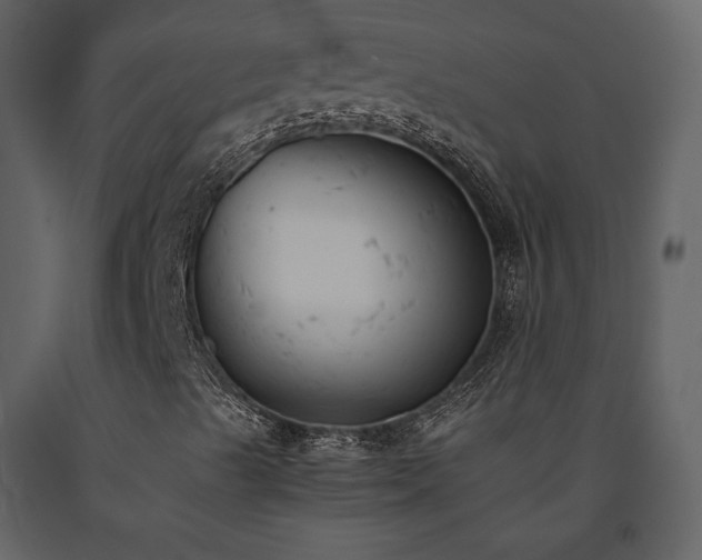 X0000091661489200708231252