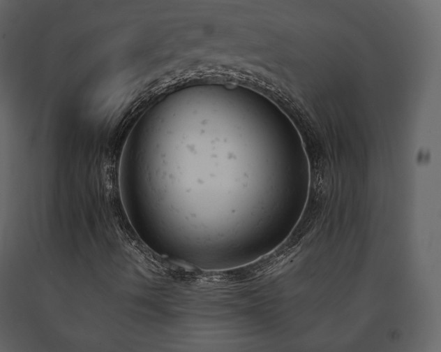 X0000091661490200708231253