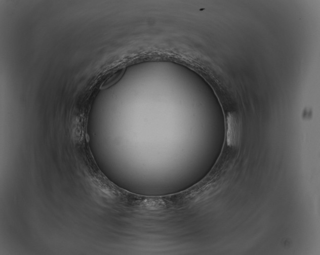 X0000091661491200708231253