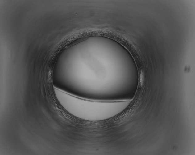 X0000091661492200708231253