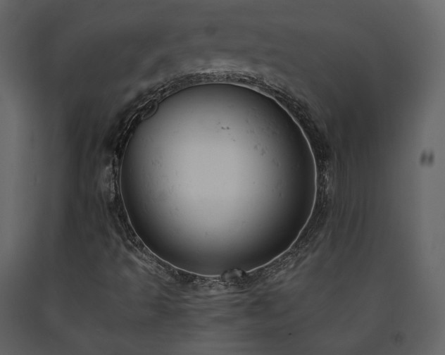 X0000091661493200708231253