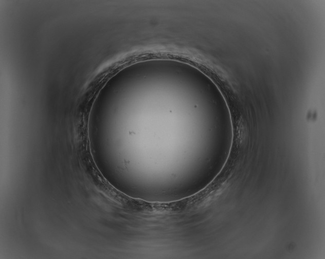 X0000091661494200708231253