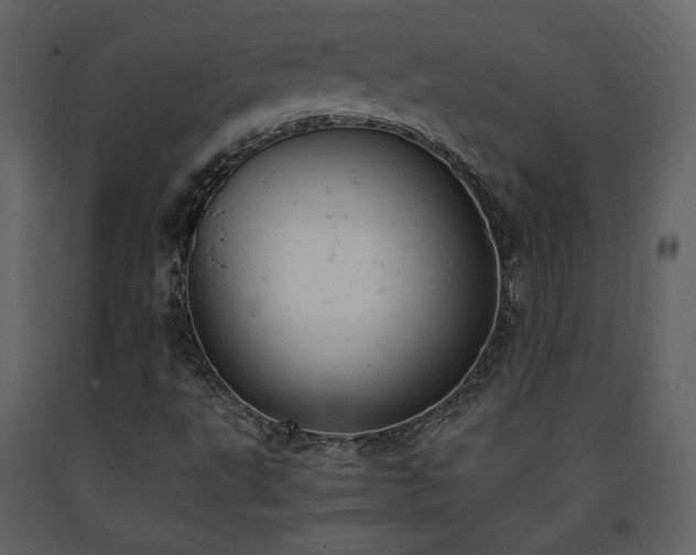 X0000091661495200708231253