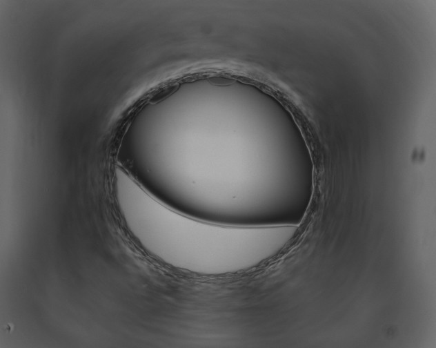 X0000091661496200708231253