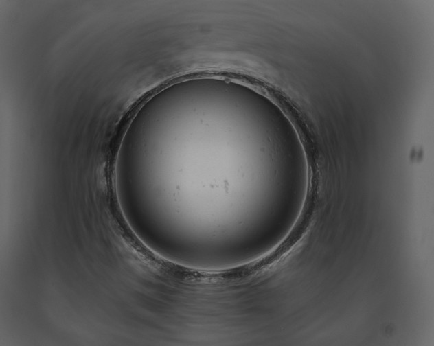 X0000091661497200708231253