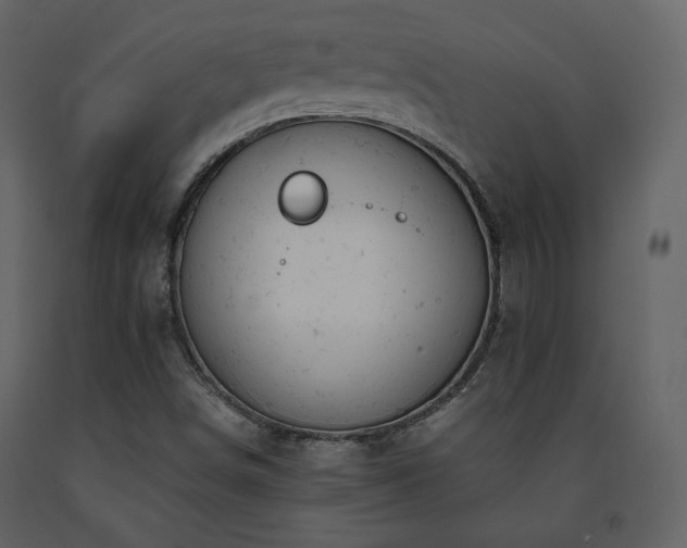 X0000091661498200708231253