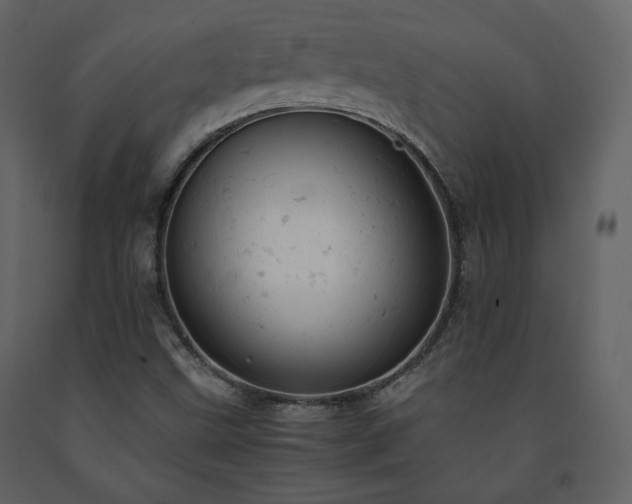 X0000091661499200708231253