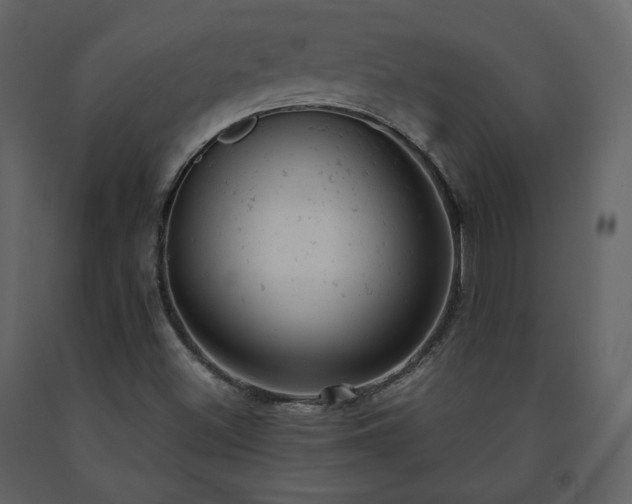 X0000091661500200708231253