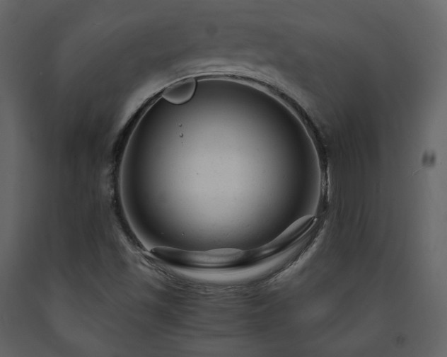 X0000091661501200708231253