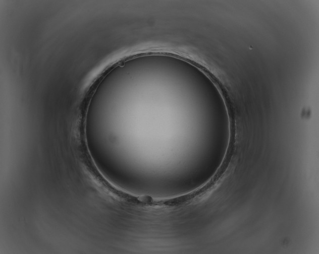 X0000091661502200708231253