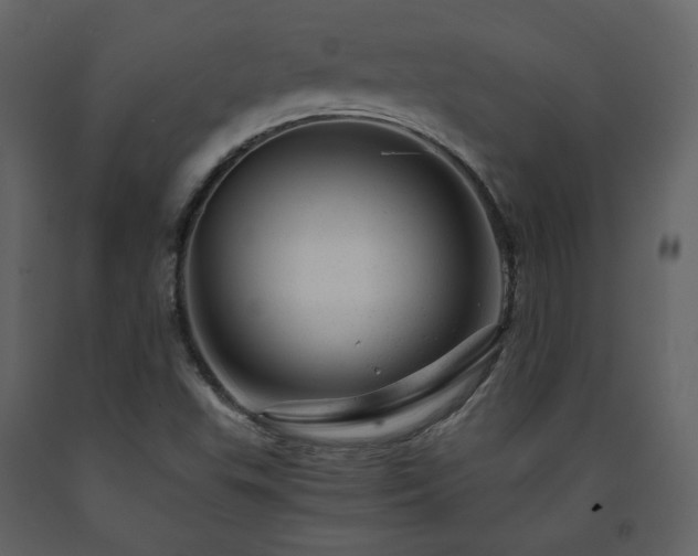 X0000091661503200708231253