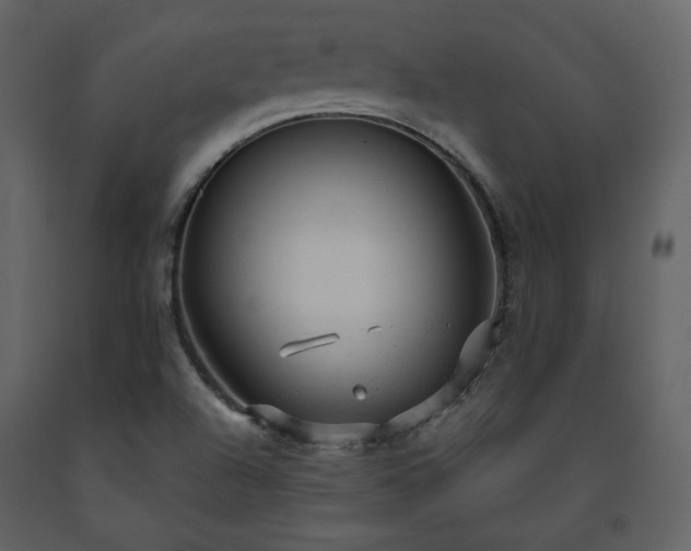 X0000091661504200708231253