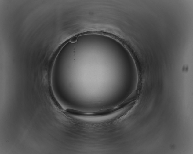 X0000091661505200708231253