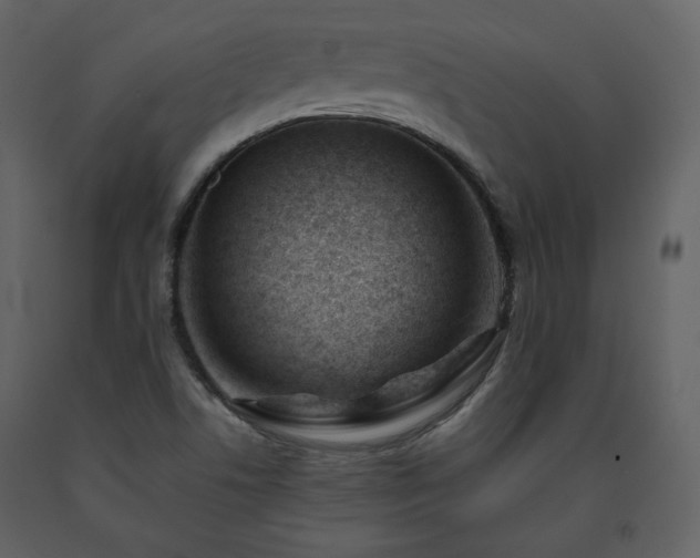 X0000091661506200708231253