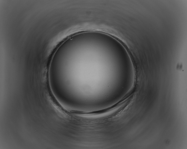 X0000091661507200708231253