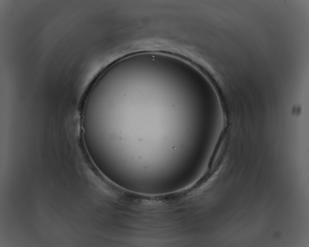 X0000091661509200708231253