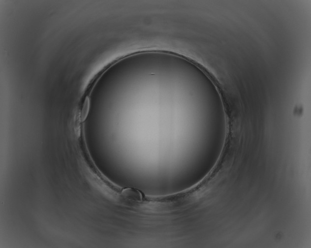 X0000091661510200708231253