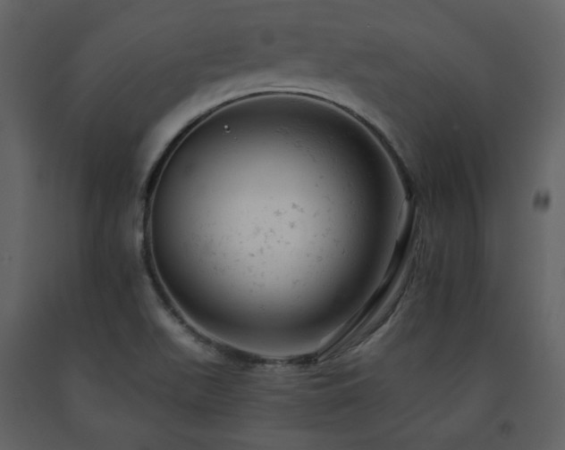 X0000091661511200708231253