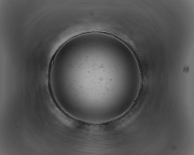 X0000091661512200708231253