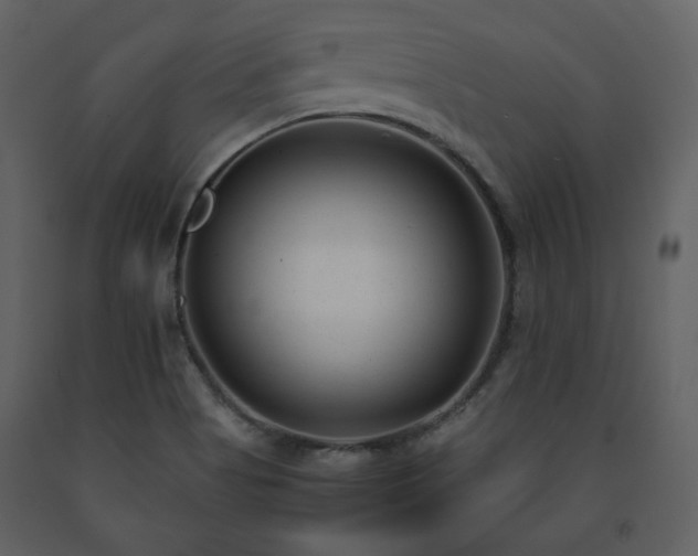 X0000091661513200708231253