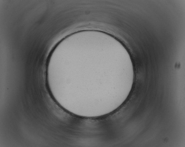 X0000091661514200708231253