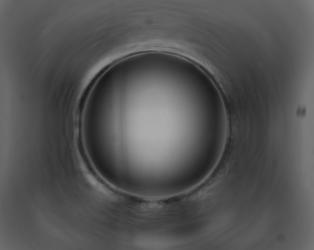 X0000091661515200708231253