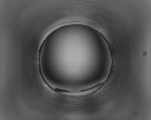 X0000091661516200708231253