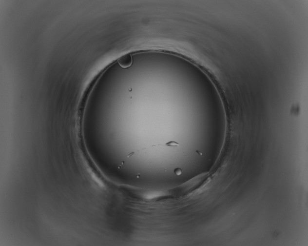X0000091661517200708231253