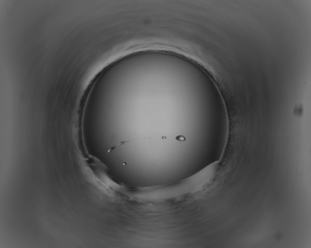 X0000091661518200708231253