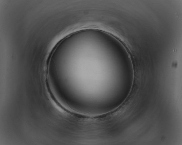 X0000091661519200708231253