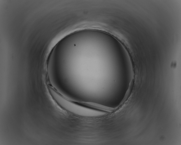 X0000091661520200708231253